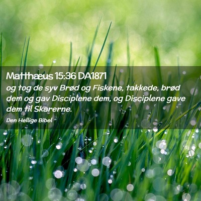 Picture 02 - Matthæus 15:36 DA1871 - og tog de syv Brød og Fiskene, takkede, brød - Bible Verse Picture
