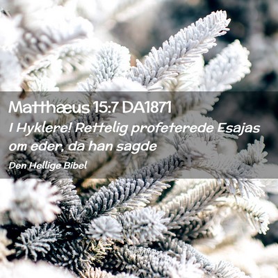 Picture 02 - Matthæus 15:7 DA1871 - I Hyklere! Rettelig profeterede Esajas om eder, - Bible Verse Picture