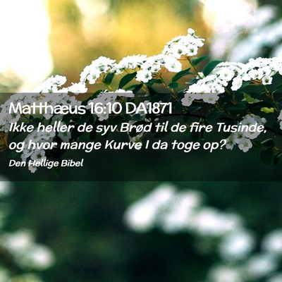 Picture 02 - Matthæus 16:10 DA1871 - Ikke heller de syv Brød til de fire Tusinde, og - Bible Verse Picture