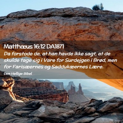 Picture 02 - Matthæus 16:12 DA1871 - Da forstode de, at han havde ikke sagt, at de - Bible Verse Picture