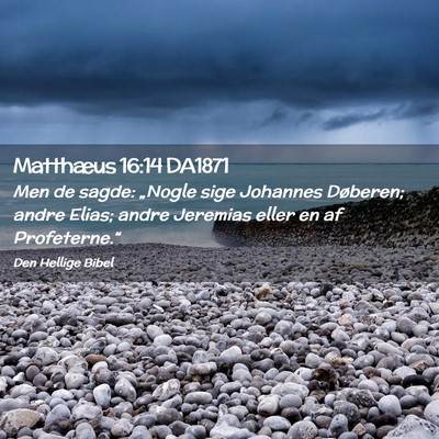 Picture 02 - Matthæus 16:14 DA1871 - Men de sagde: „Nogle sige Johannes Døberen; - Bible Verse Picture