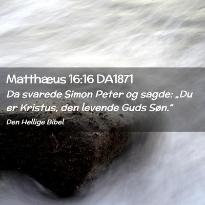 Picture 02 - Matthæus 16:16 DA1871 - Da svarede Simon Peter og sagde: „Du er - Bible Verse Picture