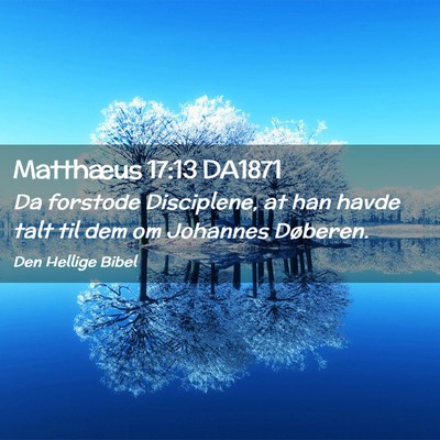 Picture 02 - Matthæus 17:13 DA1871 - Da forstode Disciplene, at han havde talt til dem - Bible Verse Picture
