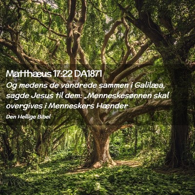 Picture 02 - Matthæus 17:22 DA1871 - Og medens de vandrede sammen i Galilæa, sagde - Bible Verse Picture