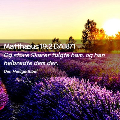 Picture 02 - Matthæus 19:2 DA1871 - Og store Skarer fulgte ham, og han helbredte dem - Bible Verse Picture