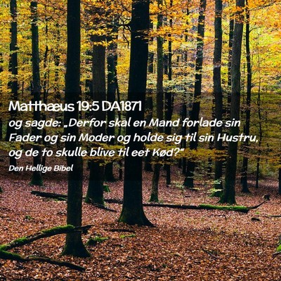 Picture 02 - Matthæus 19:5 DA1871 - og sagde: „Derfor skal en Mand forlade sin - Bible Verse Picture