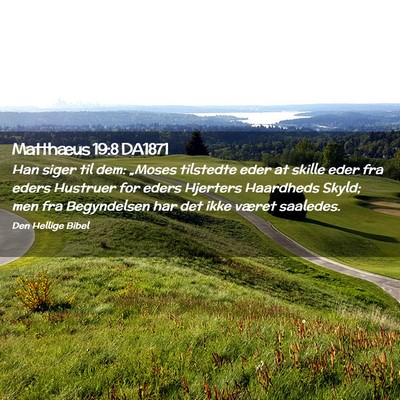 Picture 02 - Matthæus 19:8 DA1871 - Han siger til dem: „Moses tilstedte eder at - Bible Verse Picture
