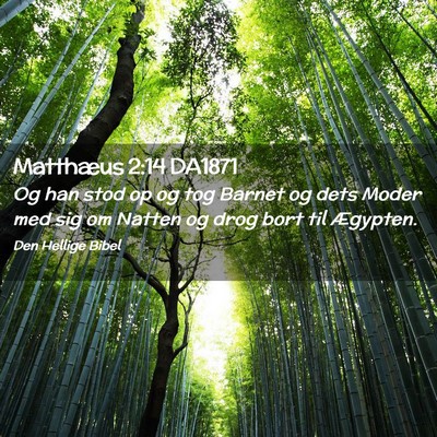 Picture 02 - Matthæus 2:14 DA1871 - Og han stod op og tog Barnet og dets Moder med - Bible Verse Picture