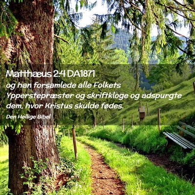 Picture 02 - Matthæus 2:4 DA1871 - og han forsamlede alle Folkets Ypperstepræster - Bible Verse Picture
