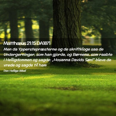 Picture 02 - Matthæus 21:15 DA1871 - Men da Ypperstepræsterne og de skriftkloge saa - Bible Verse Picture