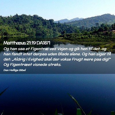Picture 02 - Matthæus 21:19 DA1871 - Og han saa et Figentræ ved Vejen og gik hen til - Bible Verse Picture
