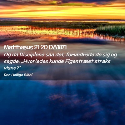 Picture 02 - Matthæus 21:20 DA1871 - Og da Disciplene saa det, forundrede de sig og - Bible Verse Picture
