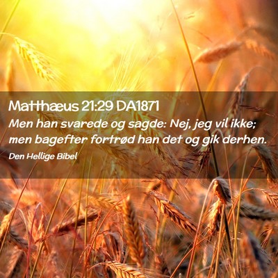 Picture 02 - Matthæus 21:29 DA1871 - Men han svarede og sagde: Nej, jeg vil ikke; men - Bible Verse Picture