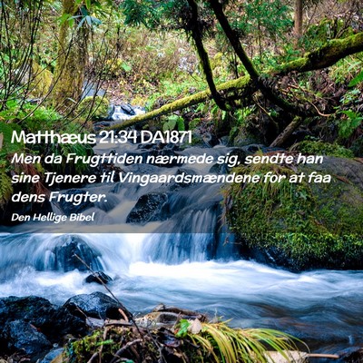 Picture 02 - Matthæus 21:34 DA1871 - Men da Frugttiden nærmede sig, sendte han sine - Bible Verse Picture
