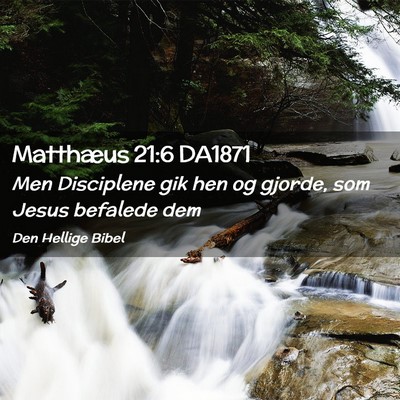 Picture 02 - Matthæus 21:6 DA1871 - Men Disciplene gik hen og gjorde, som Jesus - Bible Verse Picture