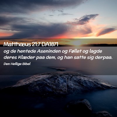 Picture 02 - Matthæus 21:7 DA1871 - og de hentede Aseninden og Føllet og lagde deres - Bible Verse Picture