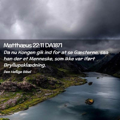 Picture 02 - Matthæus 22:11 DA1871 - Da nu Kongen gik ind for at se Gæsterne, saa han - Bible Verse Picture