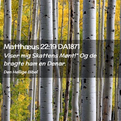 Picture 02 - Matthæus 22:19 DA1871 - Viser mig Skattens Mønt!“ Og de bragte ham en - Bible Verse Picture