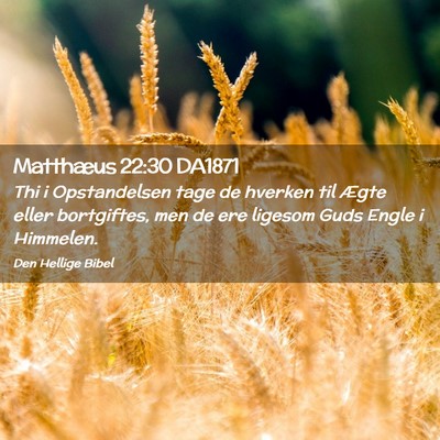 Picture 02 - Matthæus 22:30 DA1871 - Thi i Opstandelsen tage de hverken til Ægte - Bible Verse Picture