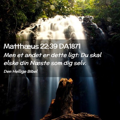 Picture 02 - Matthæus 22:39 DA1871 - Men et andet er dette ligt: Du skal elske din - Bible Verse Picture