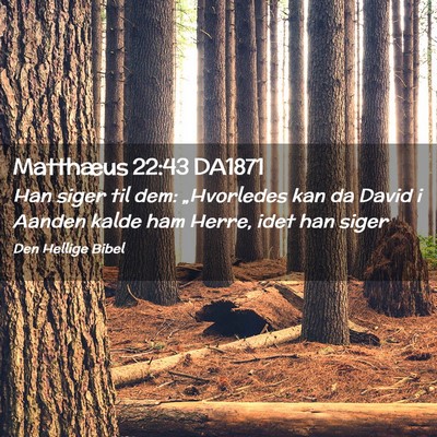 Picture 02 - Matthæus 22:43 DA1871 - Han siger til dem: „Hvorledes kan da David i - Bible Verse Picture