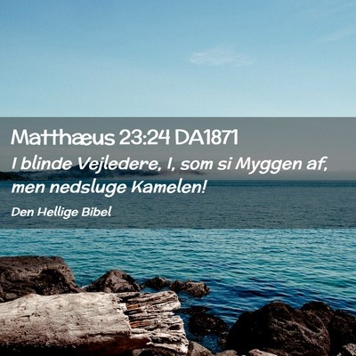 Picture 02 - Matthæus 23:24 DA1871 - I blinde Vejledere, I, som si Myggen af, men - Bible Verse Picture