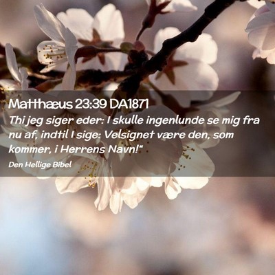 Picture 02 - Matthæus 23:39 DA1871 - Thi jeg siger eder: I skulle ingenlunde se mig - Bible Verse Picture