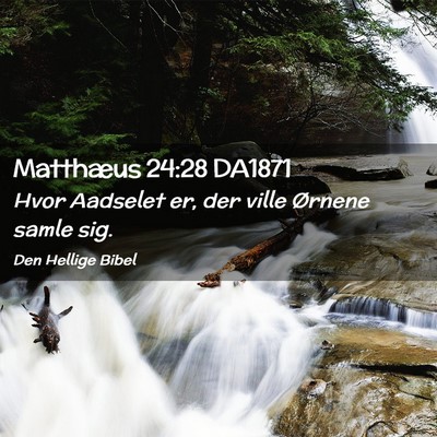 Picture 02 - Matthæus 24:28 DA1871 - Hvor Aadselet er, der ville Ørnene samle - Bible Verse Picture