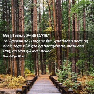 Picture 02 - Matthæus 24:38 DA1871 - Thi ligesom de i Dagene før Syndfloden aade og - Bible Verse Picture