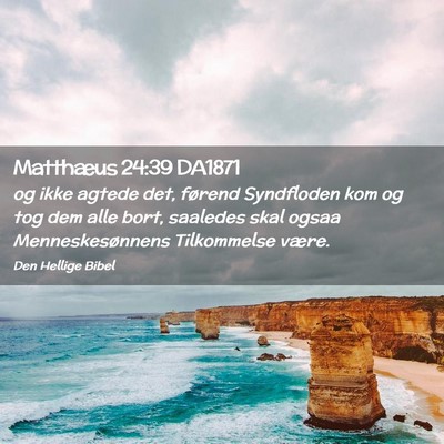 Picture 02 - Matthæus 24:39 DA1871 - og ikke agtede det, førend Syndfloden kom og tog - Bible Verse Picture