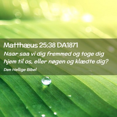 Picture 02 - Matthæus 25:38 DA1871 - Naar saa vi dig fremmed og toge dig hjem til os, - Bible Verse Picture