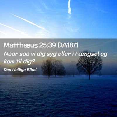 Picture 02 - Matthæus 25:39 DA1871 - Naar saa vi dig syg eller i Fængsel og kom til - Bible Verse Picture