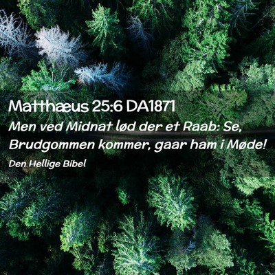 Picture 02 - Matthæus 25:6 DA1871 - Men ved Midnat lød der et Raab: Se, Brudgommen - Bible Verse Picture