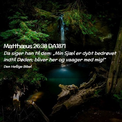 Picture 02 - Matthæus 26:38 DA1871 - Da siger han til dem: „Min Sjæl er dybt - Bible Verse Picture