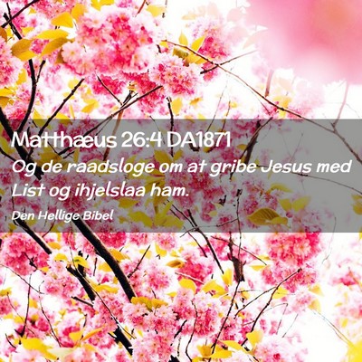Picture 02 - Matthæus 26:4 DA1871 - Og de raadsloge om at gribe Jesus med List og - Bible Verse Picture
