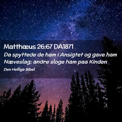 Picture 02 - Matthæus 26:67 DA1871 - Da spyttede de ham i Ansigtet og gave ham - Bible Verse Picture