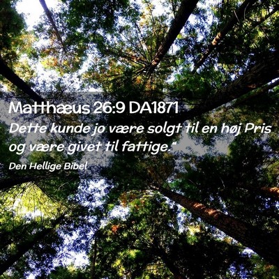 Picture 02 - Matthæus 26:9 DA1871 - Dette kunde jo være solgt til en høj Pris og - Bible Verse Picture