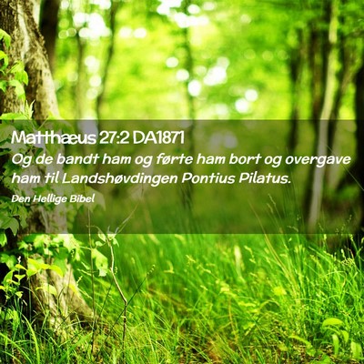 Picture 02 - Matthæus 27:2 DA1871 - Og de bandt ham og førte ham bort og overgave - Bible Verse Picture
