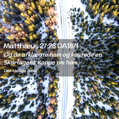 Picture 02 - Matthæus 27:28 DA1871 - Og de afklædte ham og kastede en Skarlagens - Bible Verse Picture