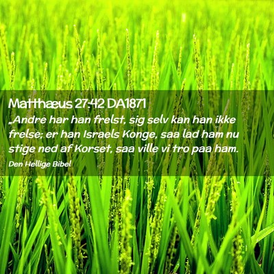 Picture 02 - Matthæus 27:42 DA1871 - „Andre har han frelst, sig selv kan han ikke - Bible Verse Picture