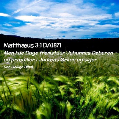 Picture 02 - Matthæus 3:1 DA1871 - Men i de Dage fremstaar Johannes Døberen og - Bible Verse Picture