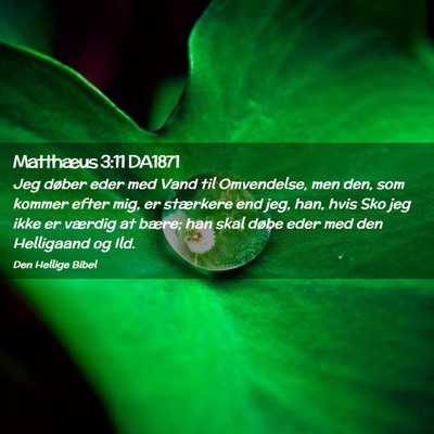 Picture 02 - Matthæus 3:11 DA1871 - Jeg døber eder med Vand til Omvendelse, men den, - Bible Verse Picture
