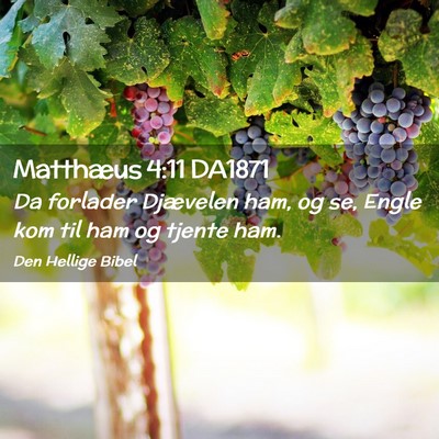 Picture 02 - Matthæus 4:11 DA1871 - Da forlader Djævelen ham, og se, Engle kom til - Bible Verse Picture