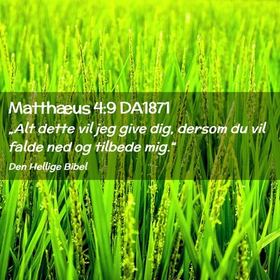 Picture 02 - Matthæus 4:9 DA1871 - „Alt dette vil jeg give dig, dersom du vil - Bible Verse Picture