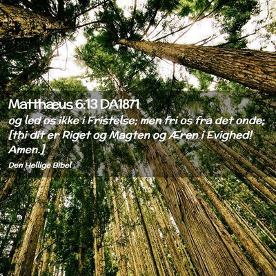 Picture 02 - Matthæus 6:13 DA1871 - og led os ikke i Fristelse; men fri os fra det - Bible Verse Picture