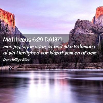 Picture 02 - Matthæus 6:29 DA1871 - men jeg siger eder, at end ikke Salomon i al sin - Bible Verse Picture