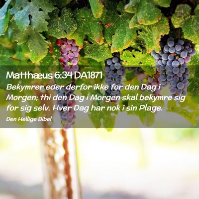 Picture 02 - Matthæus 6:34 DA1871 - Bekymrer eder derfor ikke for den Dag i Morgen; - Bible Verse Picture
