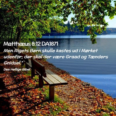 Picture 02 - Matthæus 8:12 DA1871 - Men Rigets Børn skulle kastes ud i Mørket - Bible Verse Picture
