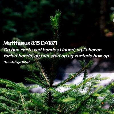 Picture 02 - Matthæus 8:15 DA1871 - Og han rørte ved hendes Haand, og Feberen forlod - Bible Verse Picture