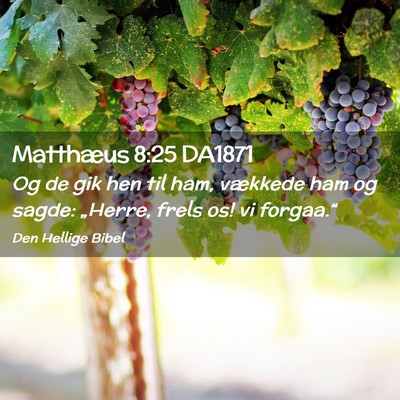 Picture 02 - Matthæus 8:25 DA1871 - Og de gik hen til ham, vækkede ham og sagde: - Bible Verse Picture